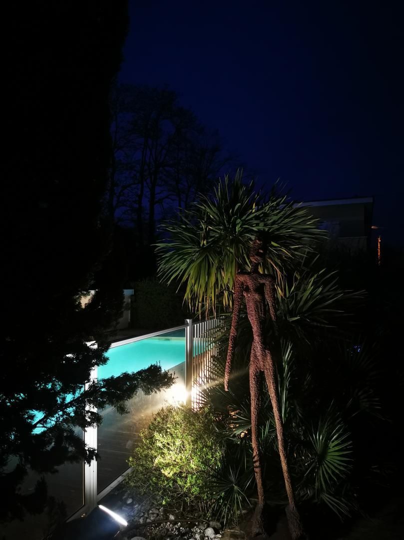 Ein Schwimmbecken, umgeben von tropischer Vegetation und einem Metallzaun bei Nacht.