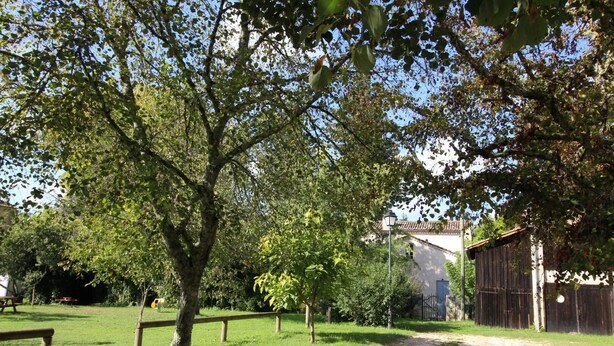 Property grounds - Gite DU Presbytere - Uzeste (UZESTE)