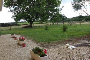 Property grounds - Domaine D'olga - Queyrac (QUEYRAC)