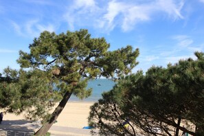 Una spiaggia nelle vicinanze