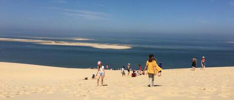 بالقرب من الشاطئ