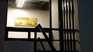 A staircase leading to a landing with a framed picture of lemons on the wall. - Study area Artz Pedregal, Hospital Ángeles, IPPC (Ciudad de México)