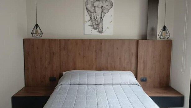 A bedroom with a wooden headboard, a bed with a white mattress, and a wall-mounted artwork of an elephant. - Study area Artz Pedregal, Hospital Ángeles, IPPC (Ciudad de México)