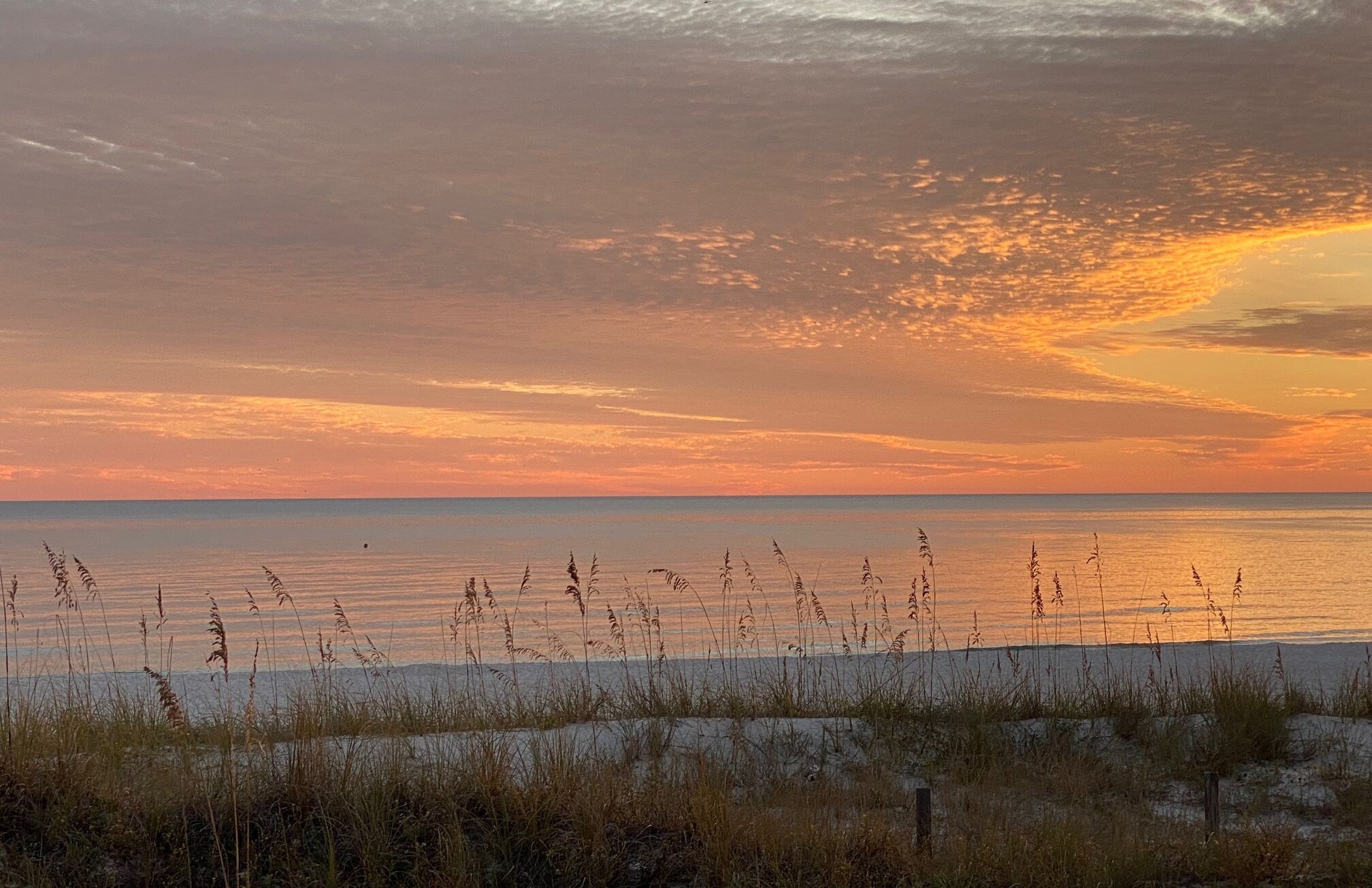 A beach with sand dunes and grasses in the foreground, and a sunset over the water.