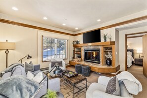 TV, fireplace, books