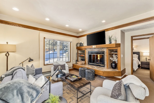 TV, fireplace, books