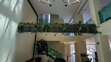 RecepciĂłn