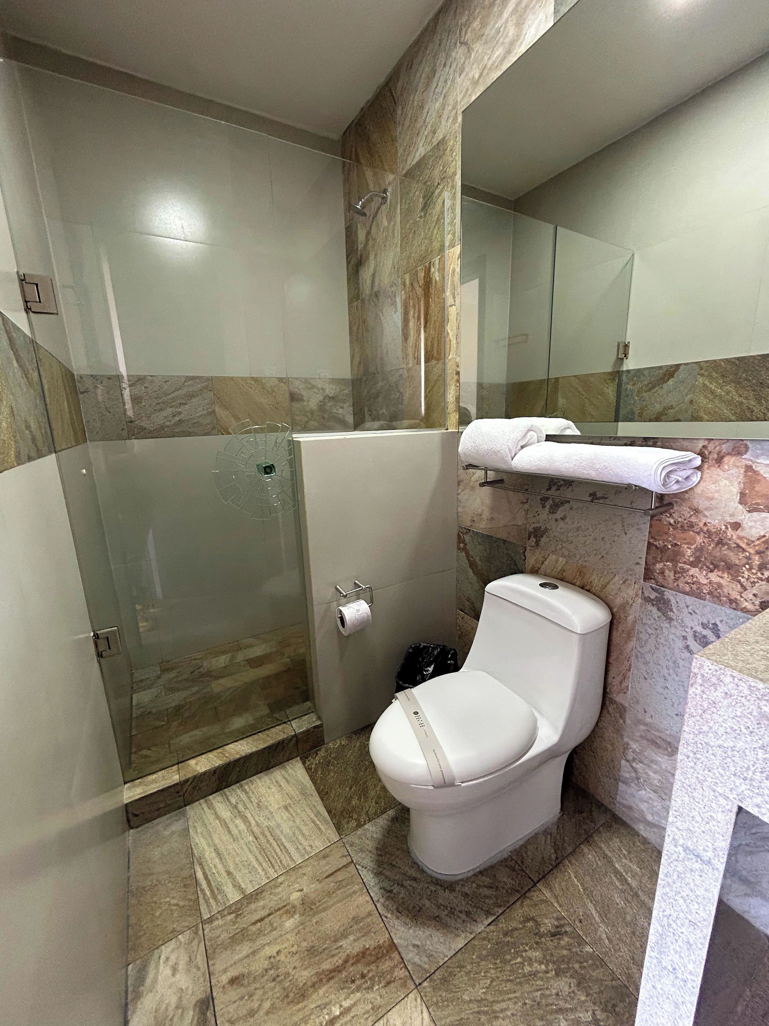 A bathroom with a glass shower enclosure, a toilet, and a towel rack.