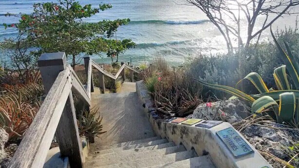 Un escalier en béton menant à une plage, avec une rambarde en bois, entouré de différentes plantes et d’un panneau indiquant « Jardins C. W. Williams ».