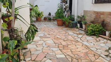 Detalle del exterior
