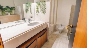 Bathtub, hair dryer, bidet, towels