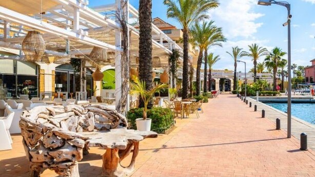 Un hotel sul lungomare con posti a sedere all'aperto, palme e una piscina.