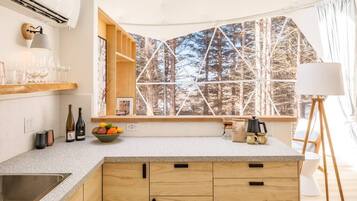 Fridge, oven, stovetop, coffee/tea maker