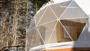 Une structure en forme de dôme géodésique recouverte d’une enveloppe transparente, dotée d’une base en bois et présentant un intérieur visible avec un tableau encadré.