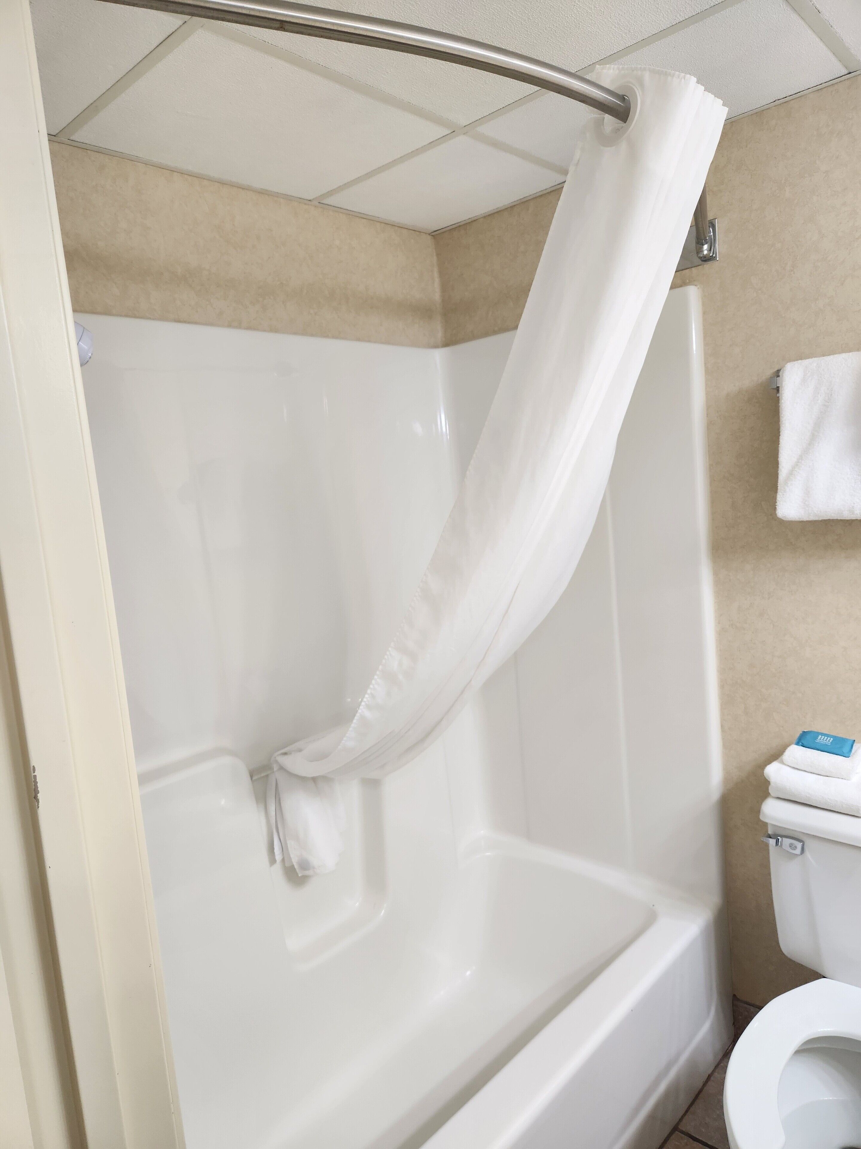 Combined shower/tub, free toiletries, hair dryer, towels
