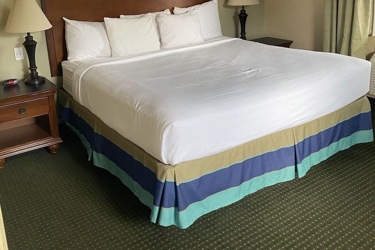 Premium Suite