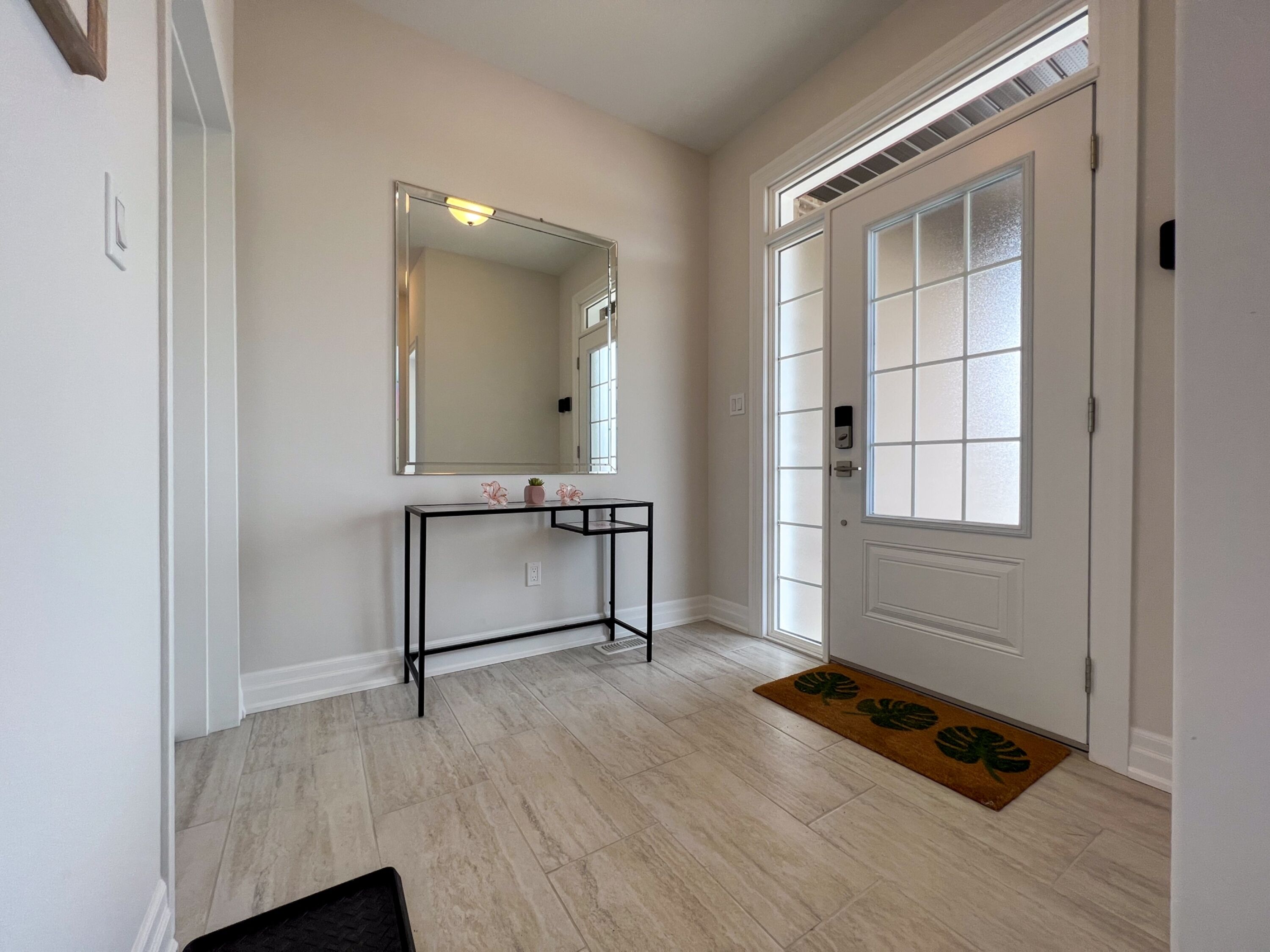 A hallway with a white door, a mirror, a console table with a plant, and a doormat.