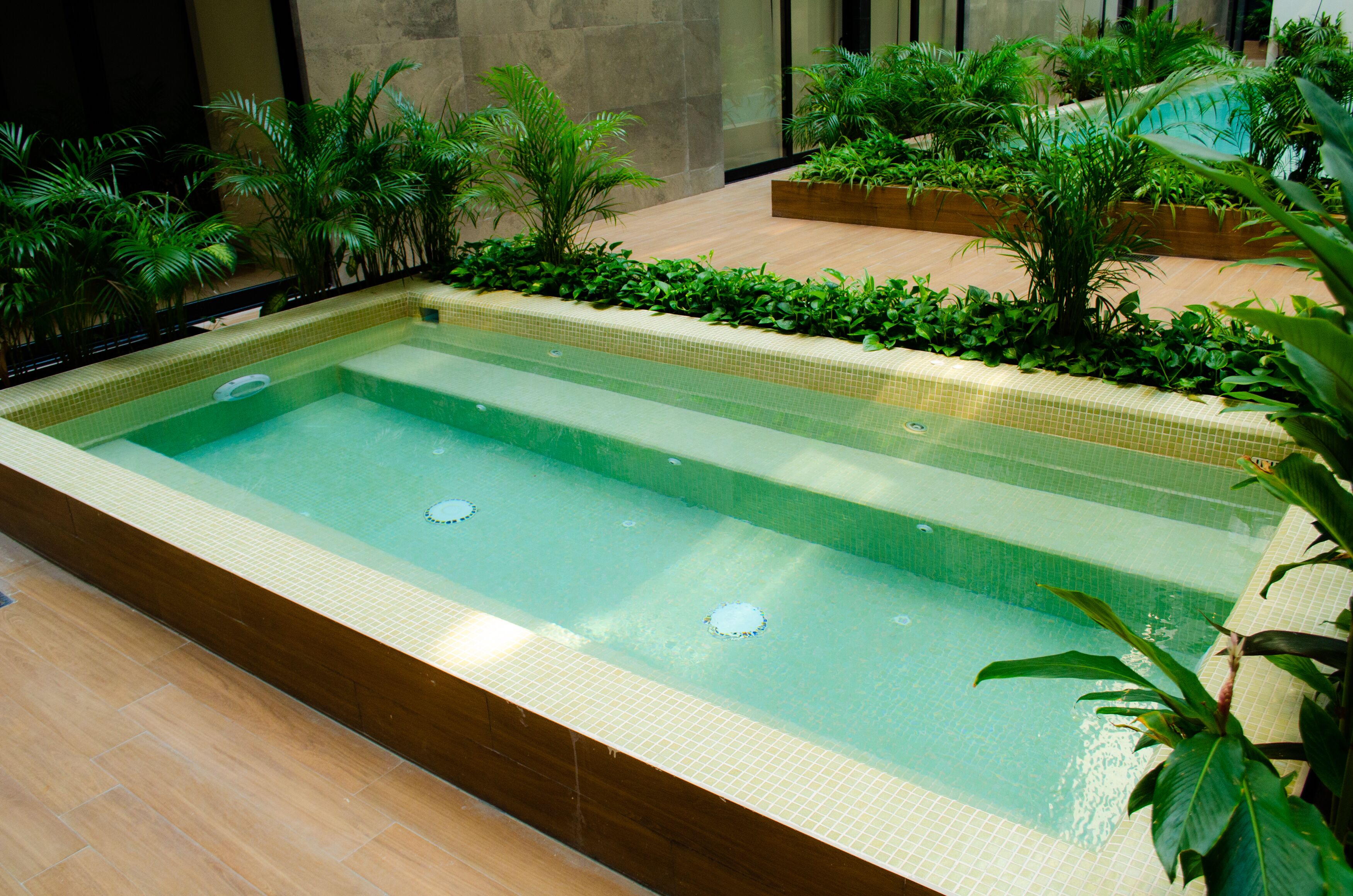 A rectangular indoor pool with clear water, surrounded by lush green plants and a tiled edge.