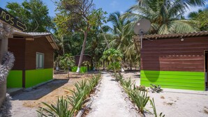 A pathway leading to a row of cabins with green and brown exteriors, surrounded by tropical vegetation. - Eco Hotel bosque encantado (Rosario Islands)