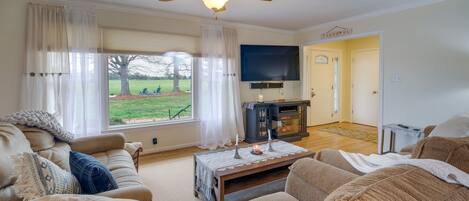 TV, fireplace, DVD player, books