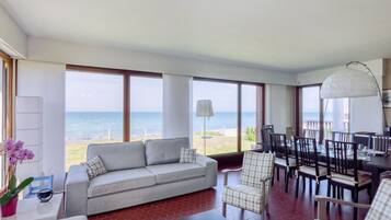 Télévision, cheminée, livres