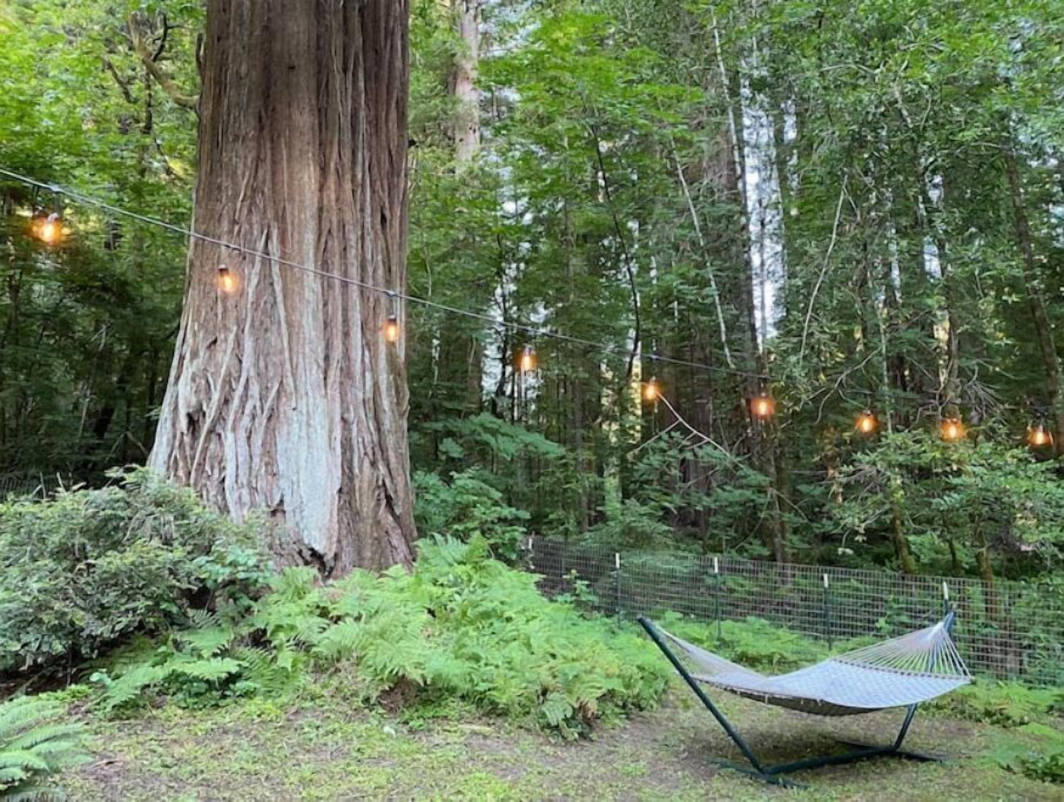 Lovely 2 bedroom redwood river retreat.