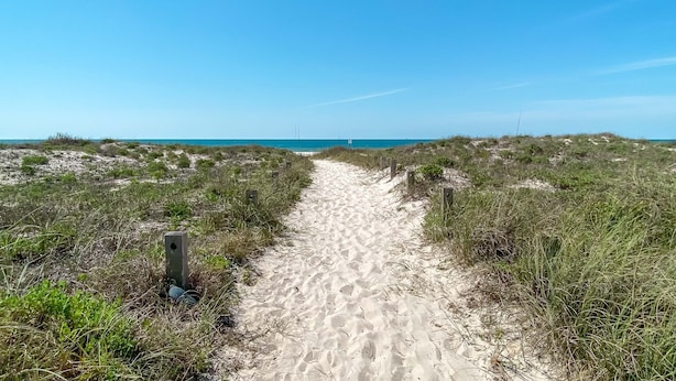 A sandy path leading to a beach with sparse vegetation on either side. - Seaclusion (Gulf Shores)