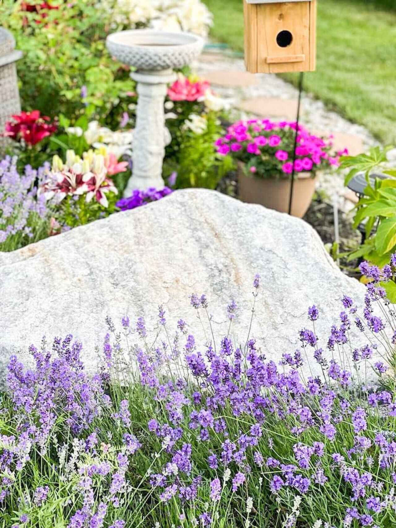 Terrein van de accommodatie