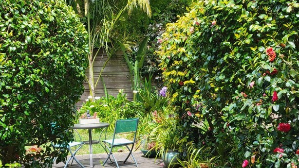 A garden patio with a table and chairs, surrounded by lush greenery and flowering plants. - Private Charming Garden Guest Suite Presidio Hts. (San Francisco)
