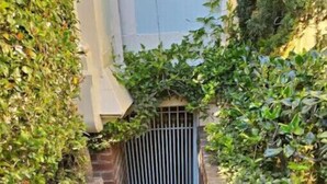 A narrow stone staircase leading to a gated entrance, surrounded by dense foliage. - Private Charming Garden Guest Suite Presidio Hts. (San Francisco)