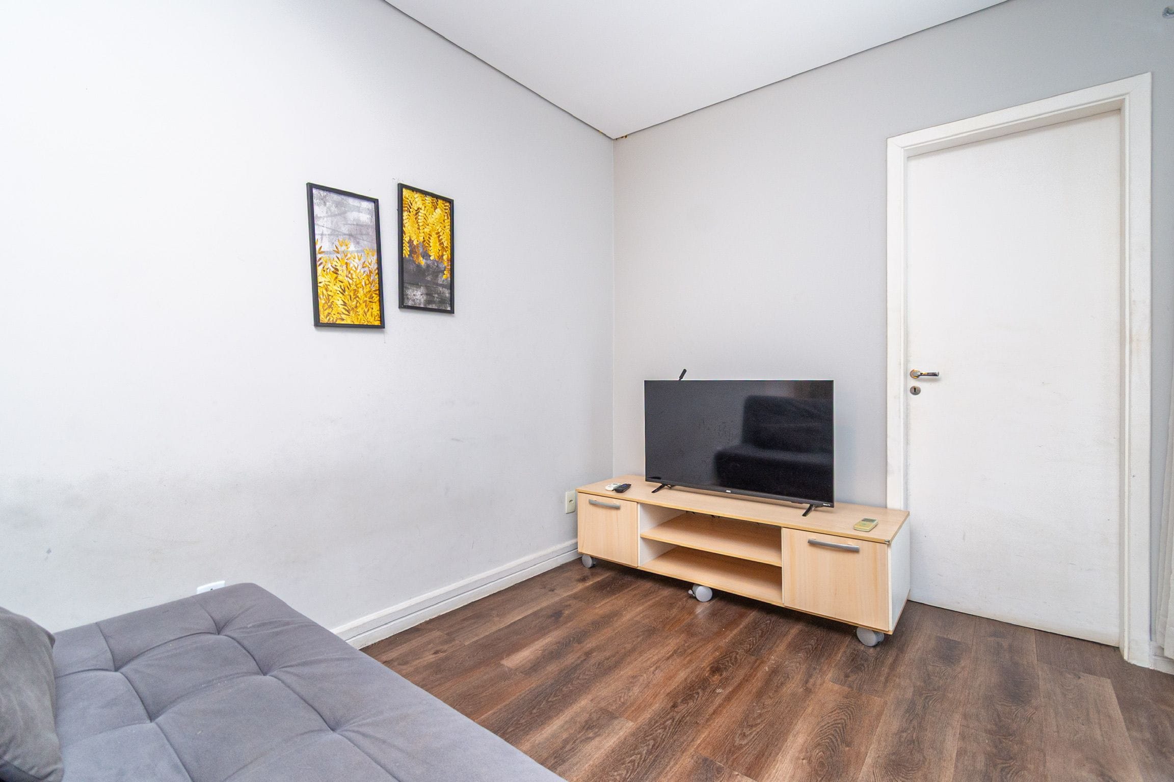 Une pièce avec un canapé gris, un téléviseur posé sur un meuble en bois et deux tableaux encadrés accrochés au mur.