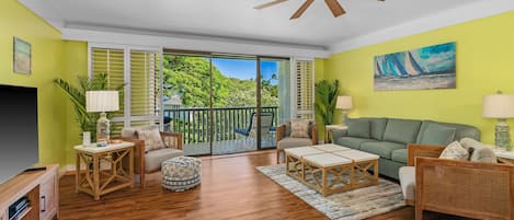 Smart TV, DVD player, books