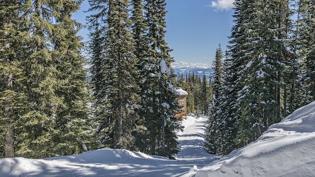 Una pista da sci innevata fiancheggiata da alti alberi sempreverdi, che conduce a un rifugio con tetto rosso.