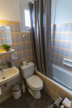 Hair dryer, towels, shampoo