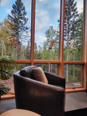 Interior - Scandinavian Chalet with Sauna in Lutsen - Blue (Lutsen)