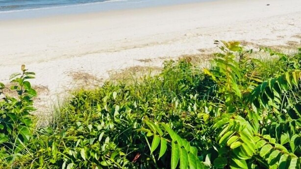 Beach - Bayside Tranquility - A Birder’s Paradise (Lower Township)
