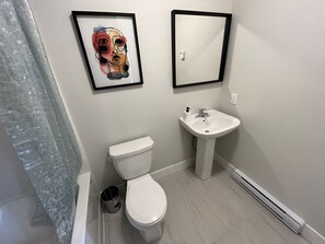 Secadora de cabello, toallas, jabón, shampoo