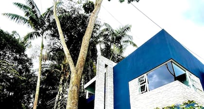 Experience the Costa Rican Pura Vida Style in our house👈