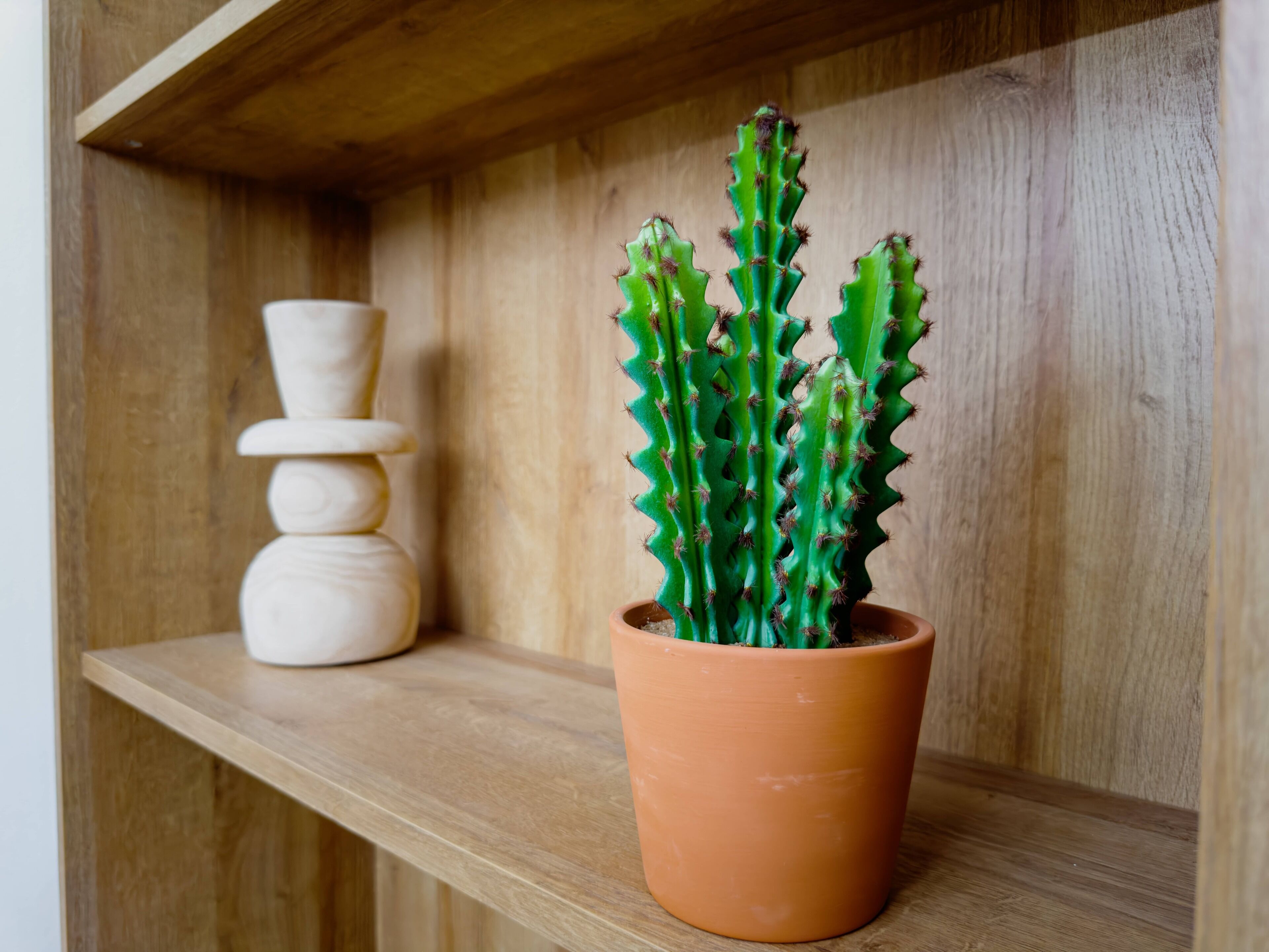 En kaktus i en terracotta-potte på en træhylde.