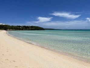 Beach - Romantic Waterfront Sunset Cottage in Eleuthera Bahamas (Savanah Sound)