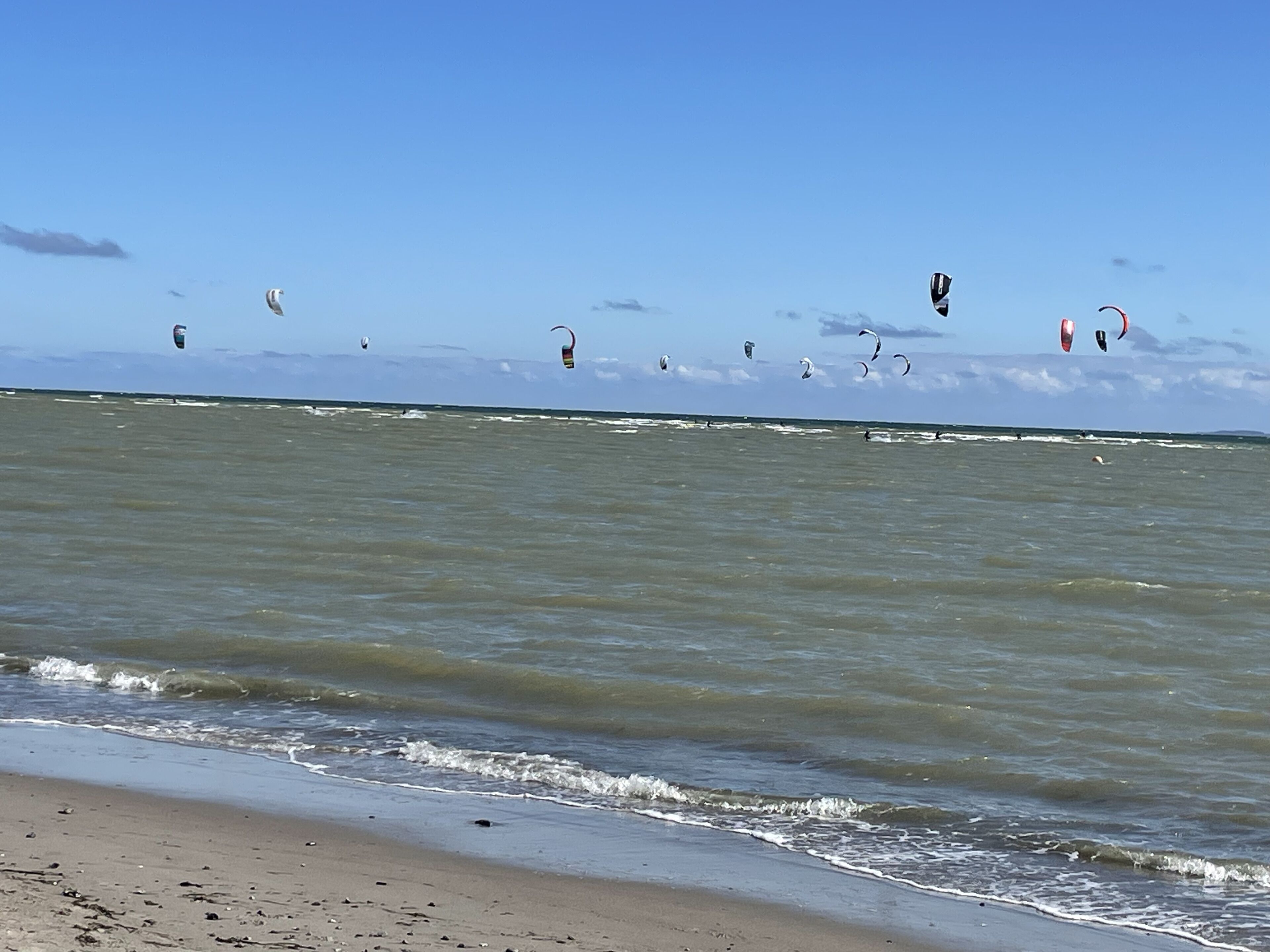 A beach with waves and multiple kites in the sky.