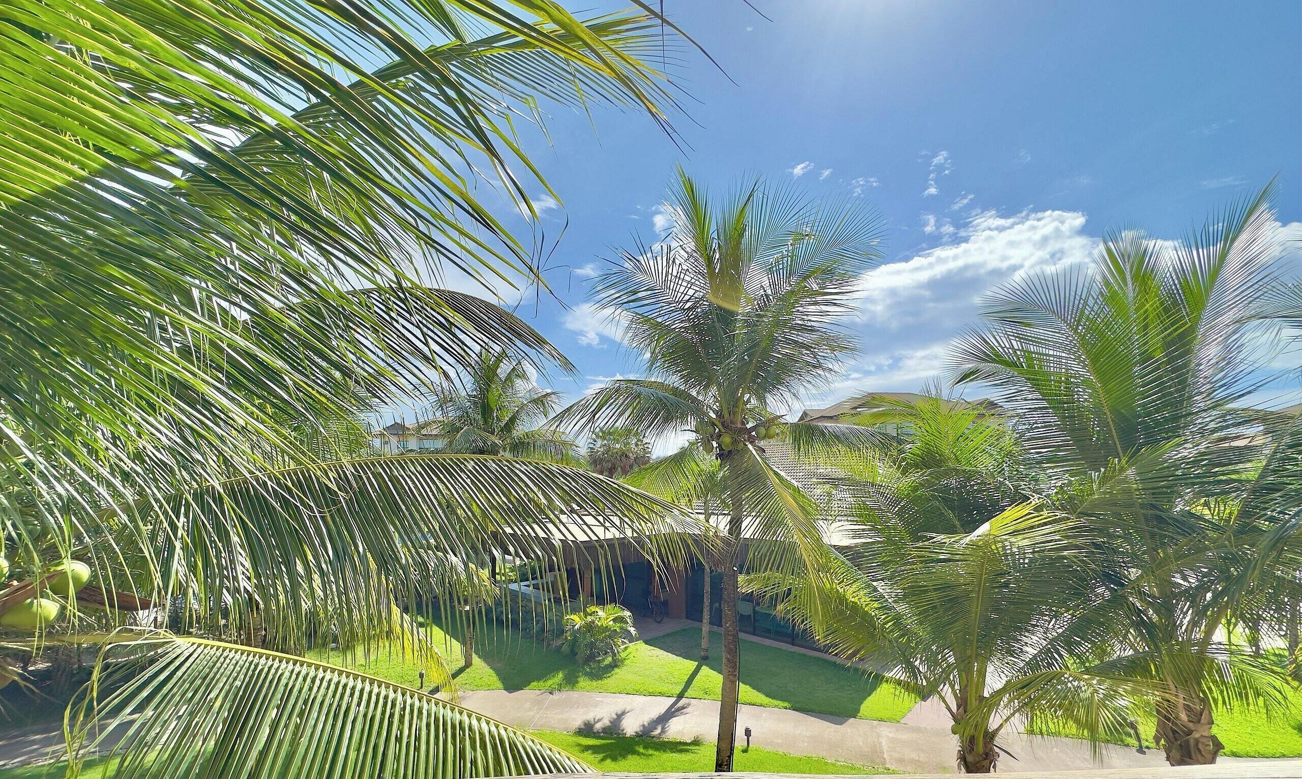 Basic Apartment | Property grounds