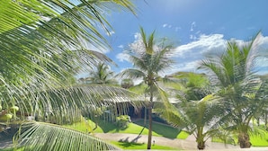 A tropical garden with palm trees and a pathway. - Incrível Resort VG Sun (Caucaia)