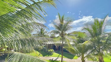 Basic Apartment | Property grounds