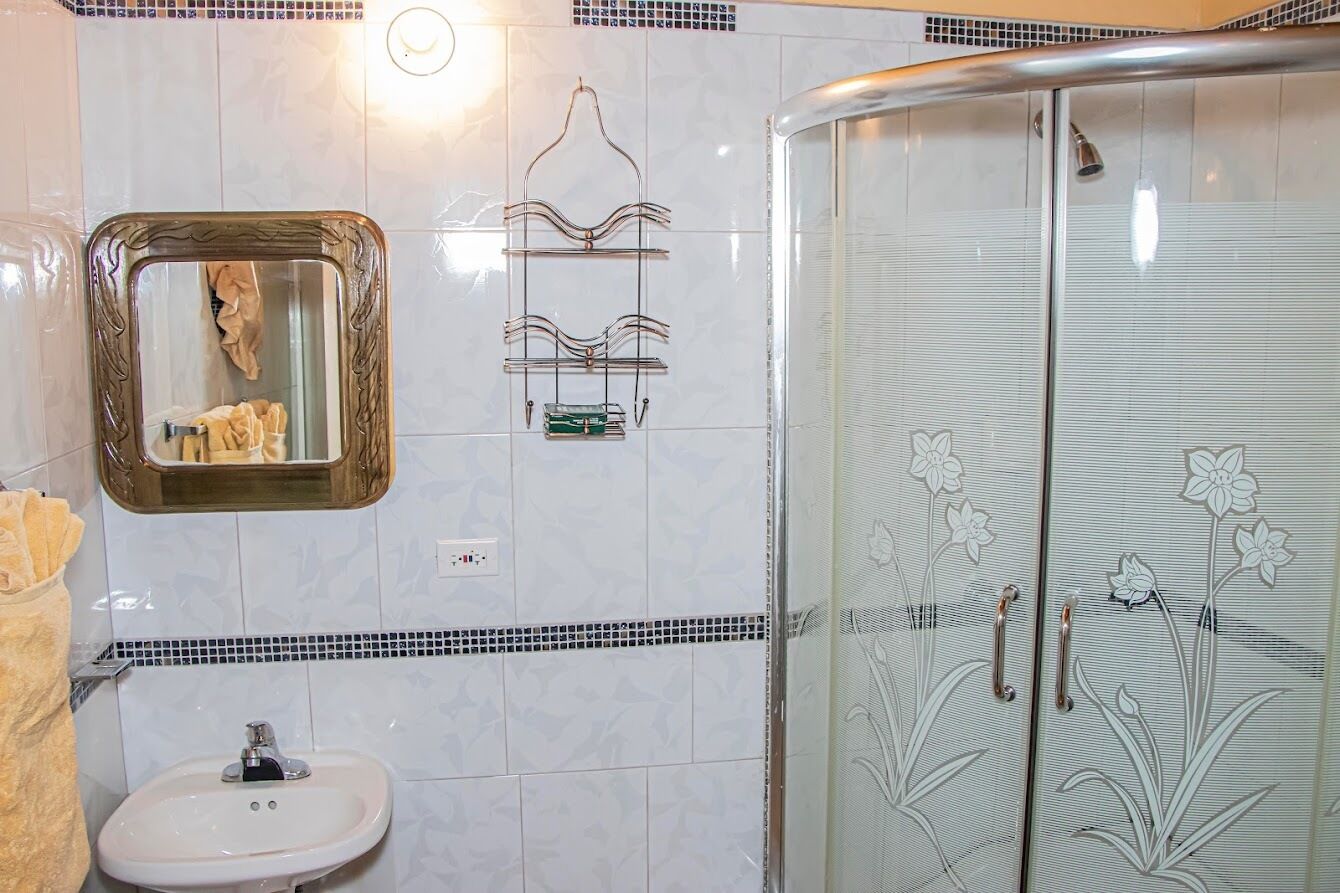 A bathroom with a sink, mirror, towel rack, and shower with floral design.
