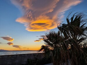 A sunset view with palm trees and a body of water.