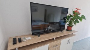 A modern room with a flat-screen TV on a wooden console, a potted plant, and a bed with a blue blanket.