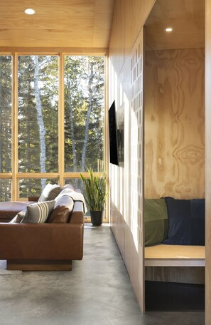 Smart TV y chimenea 