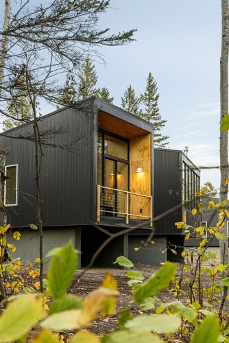 Scandinavian Chalet and sauna in Lutsen - Grey