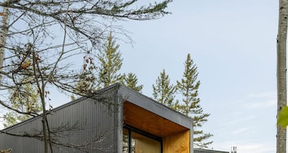 Scandinavian Chalet and sauna in Lutsen - Grey